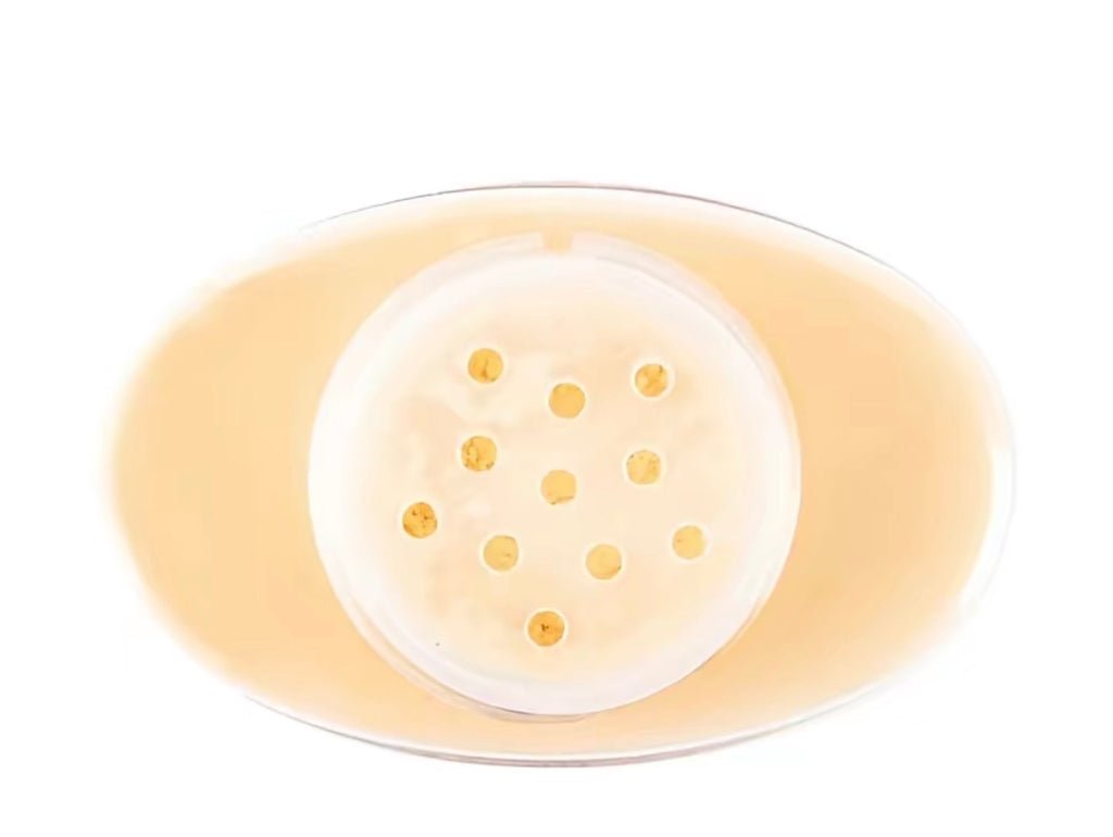 BEAUTY CREATIONS BANANA  SETTING  POWDER